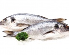 Doradă