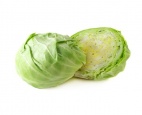 Varză