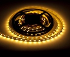 Bandă Led SMD3528 120led White