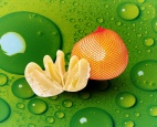 Pomelo